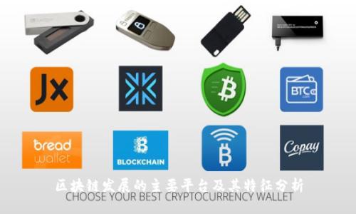 区块链发展的主要平台及其特征分析