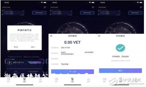 湖南区块链公司大全：发展现状与前景分析