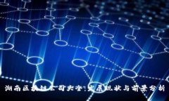 湖南区块链公司大全：发展现状与前景分析