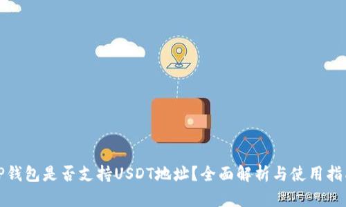TP钱包是否支持USDT地址？全面解析与使用指南