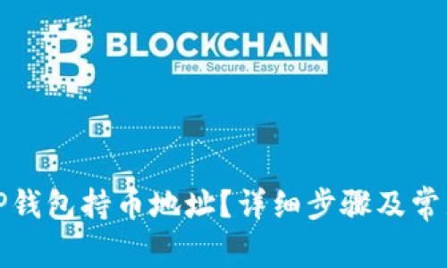 如何查找TP钱包持币地址？详细步骤及常见问题解答