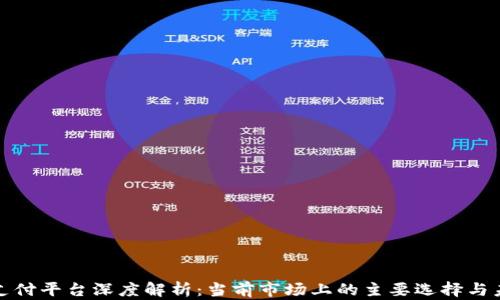 
雄安区块链支付平台深度解析：当前市场上的主要选择与未来发展展望