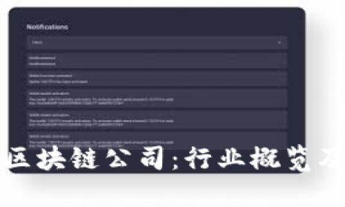 浦东区的区块链公司：行业概览及领先企业