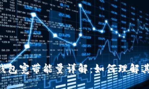 ### T P钱包宽带能量详解：如何理解其含义与应用