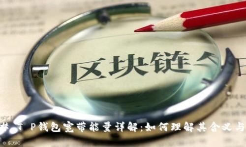 ### T P钱包宽带能量详解：如何理解其含义与应用