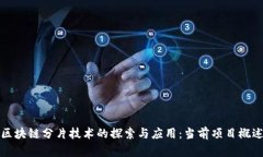 区块链分片技术的探索与应用：当前项目概述