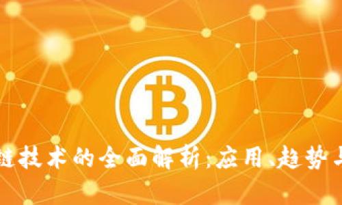 美国区块链技术的全面解析：应用、趋势与未来发展