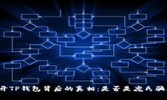 揭开TP钱包背后的真相：是否是庞氏骗局？