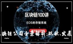 国内区块链公司全景解析：现状、发展与趋势