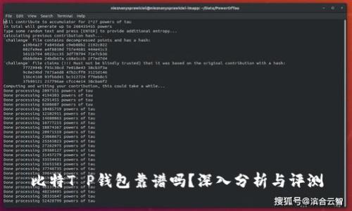 比特T P钱包靠谱吗？深入分析与评测