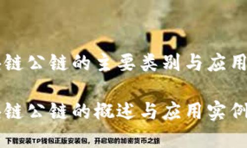 区块链公链的主要类别与应用解析
区块链公链的概述与应用实例