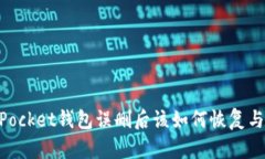 ### TokenPocket钱包误删后该如何恢复与解决方案详