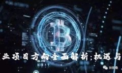 区块链创业项目方向全面解析：机遇与挑战并存