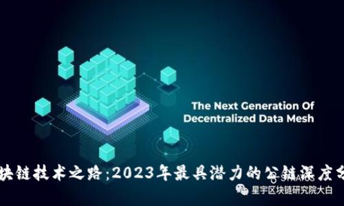 区块链技术之路：2023年最具潜力的公链深度分析