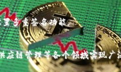 bh1区块链账户类型详解：全面了解不同类型的区