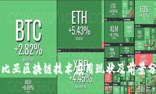 赞比亚区块链技术应用现状及前景分析