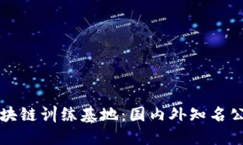 探索区块链训练基地：国内外知名公司一览