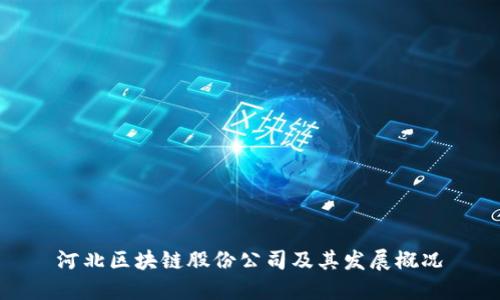 河北区块链股份公司及其发展概况