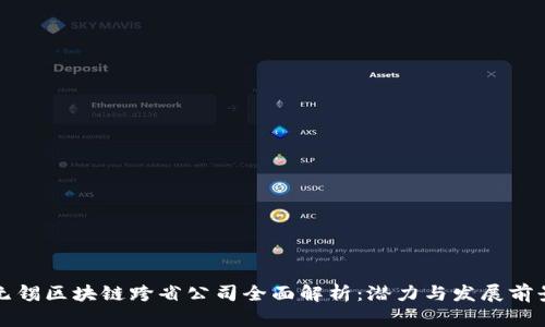无锡区块链跨省公司全面解析：潜力与发展前景