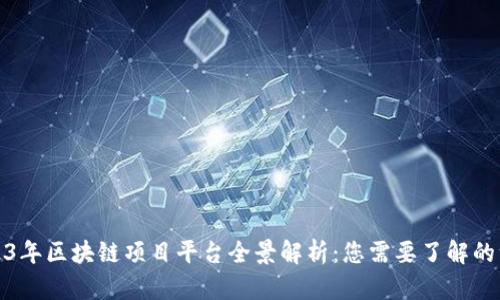 2023年区块链项目平台全景解析：您需要了解的一切