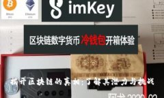 揭开区块链的真相：了解其潜力与挑战