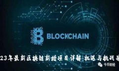 2023年最新区块链新增项目详解：机遇与挑战并存