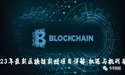 2023年最新区块链新增项目详解：机遇与挑战并存