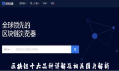 区块链十大品种详解及相关图片解析
