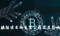 博欣区块链项目的主要公司及其影响力分析