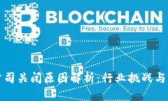区块链公司关闭原因解析：行业挑战与发展趋势