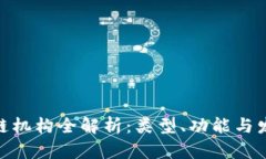 : 区块链机构全解析：类型、功能与发展趋势