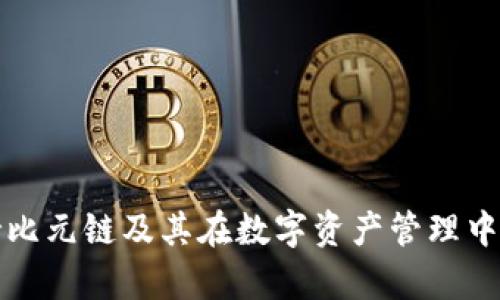 TP钱包支持比元链及其在数字资产管理中的优势解析