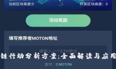 区块链行动分析方案：全面解读与应用探讨
