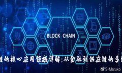 区块链的核心应用领域详解：从金融到供应链的