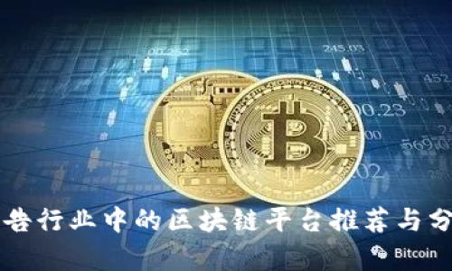 广告行业中的区块链平台推荐与分析