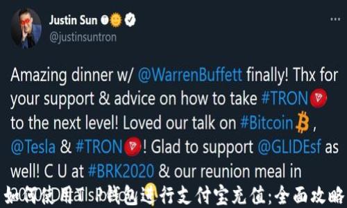 
如何使用T P钱包进行支付宝充值：全面攻略