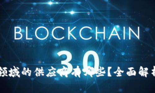 区块链领域的供应商有哪些？全面解析与推荐