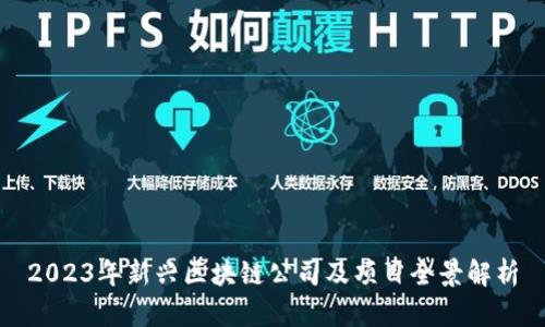 2023年新兴区块链公司及项目全景解析