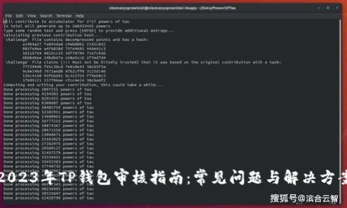2023年TP钱包审核指南：常见问题与解决方案