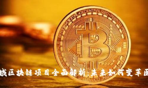 医疗领域区块链项目全面解析：未来如何变革医学行业