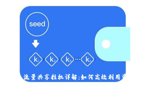biatiTP钱包流量共享挂机详解：如何高效利用资源赚取收益