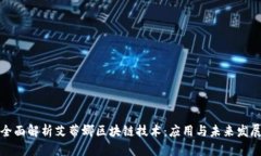 全面解析艾蒂娜区块链技术：应用与未来发展