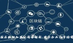 中国区块链加盟公司全解析：顶尖企业与市场前