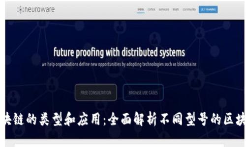 区块链的类型和应用：全面解析不同型号的区块链