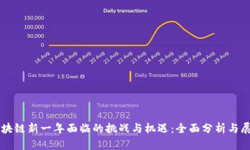 区块链新一年面临的挑战与机遇：全面分析与展望