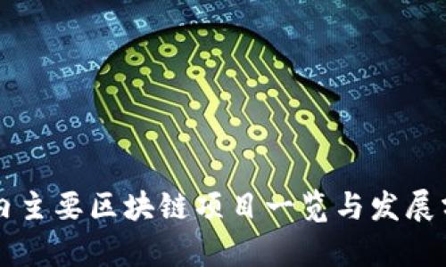 国内主要区块链项目一览与发展分析