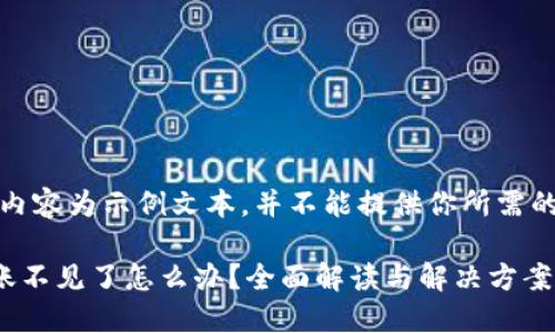 提示：以下内容为示例文本，并不能提供你所需的实际信息。

TP钱包转账不见了怎么办？全面解读与解决方案