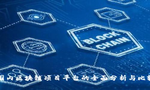 国内区块链项目平台的全面分析与比较