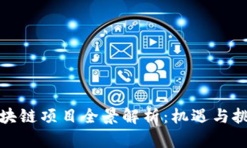 贵阳区块链项目全景解析：机遇与挑战并存