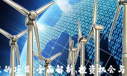 
TP钱包里的项目：全面解析、投资机会与未来展望
